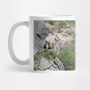 850_1979 Mug